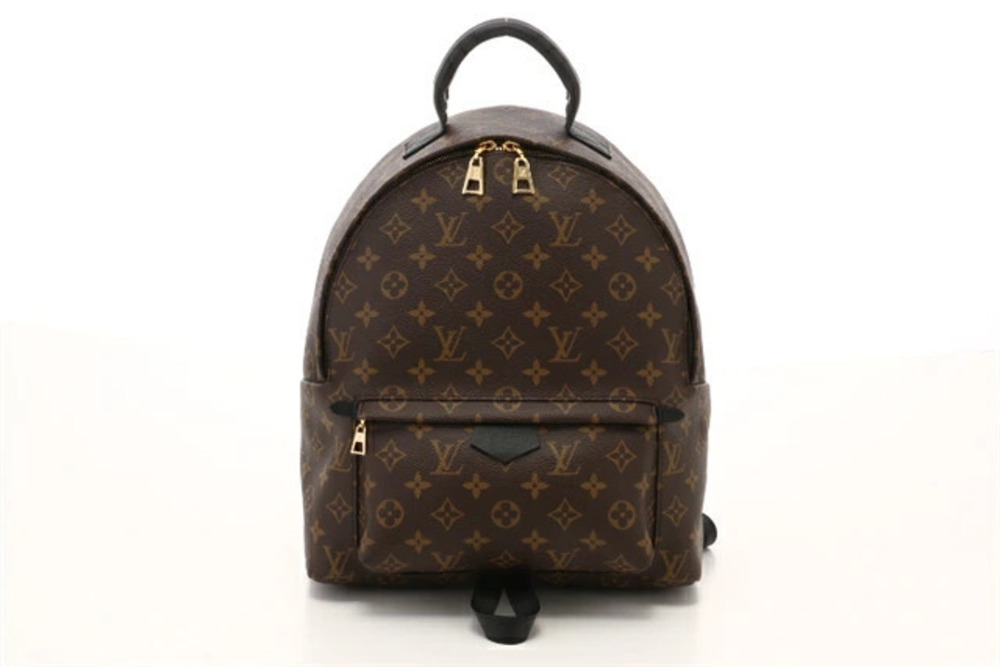 LOUIS VUITTON Palm Springs Backpack Rucksack